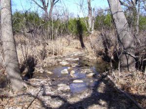 stepping stones on trail between Jim Hogg and Russell Parks